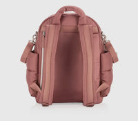 Dream Backpack Itzy Ritzy (Canyon Rose)