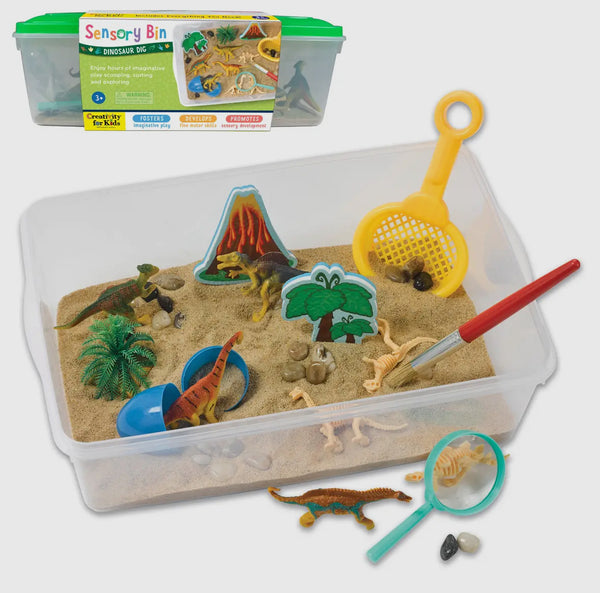 Sensory Bin (Dino)